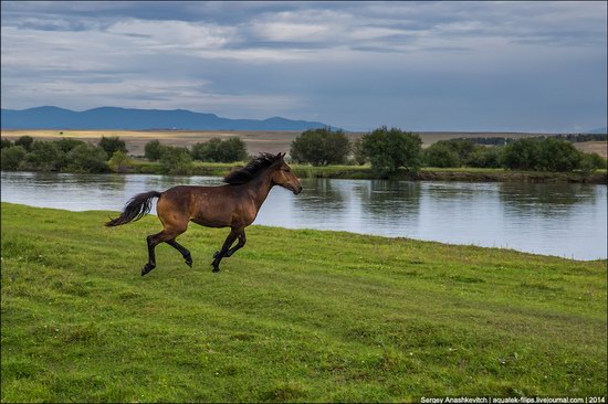 Zabaykalye prairie, Buryatia Republic, Russia, photo 6