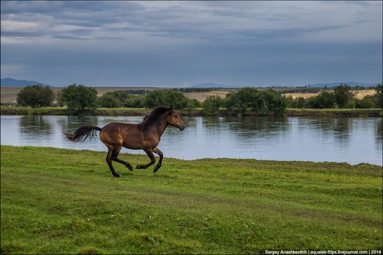 Zabaykalye prairie, Buryatia Republic, Russia, photo 7