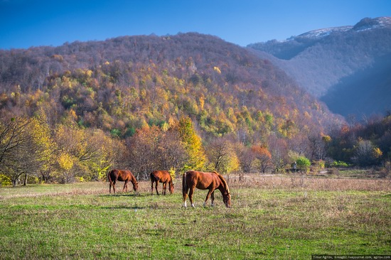 Mountainous Chechnya in late autumn, Russia, photo 12