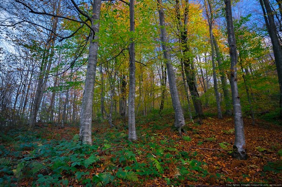 Mountainous Chechnya in late autumn, Russia, photo 14