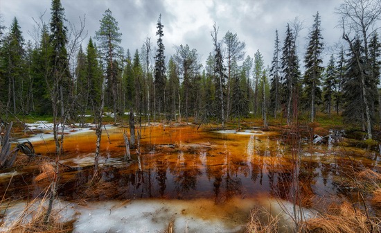 Northern Karelia and the Kola Peninsula, Russia, photo 18