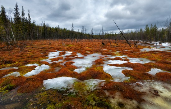 Northern Karelia and the Kola Peninsula, Russia, photo 19