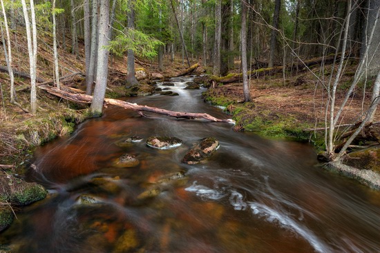 Northern Karelia and the Kola Peninsula, Russia, photo 23