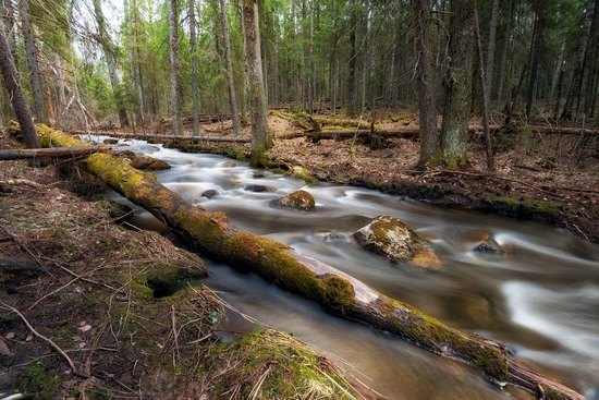 Northern Karelia and the Kola Peninsula, Russia, photo 24