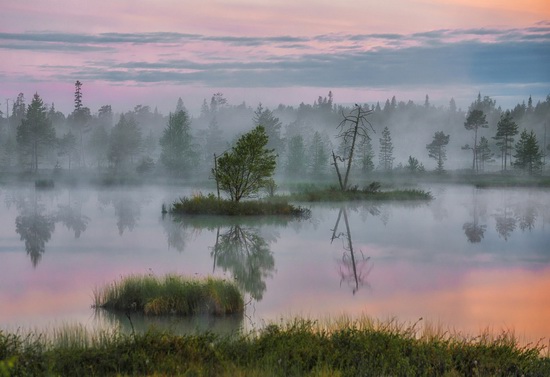 Karelia and the Kola Peninsula nature, Russia, photo 19