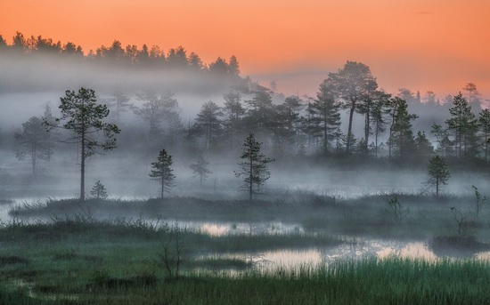 Karelia and the Kola Peninsula nature, Russia, photo 20