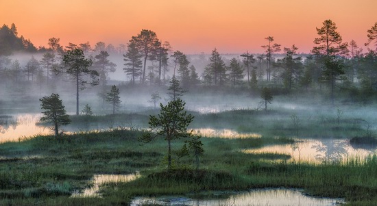 Karelia and the Kola Peninsula nature, Russia, photo 21