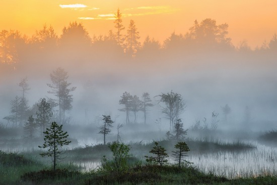 Karelia and the Kola Peninsula nature, Russia, photo 22