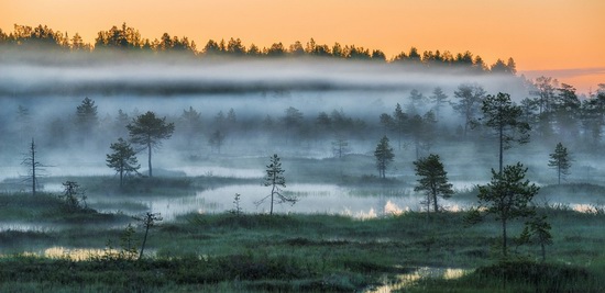 Karelia and the Kola Peninsula nature, Russia, photo 23