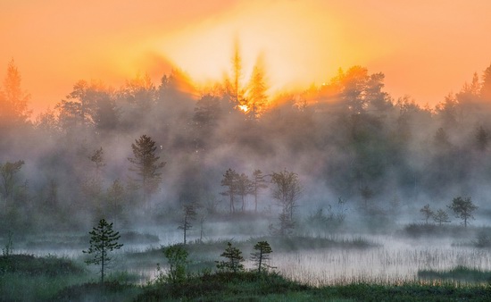 Karelia and the Kola Peninsula nature, Russia, photo 24