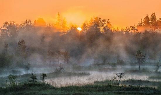 Karelia and the Kola Peninsula nature, Russia, photo 25