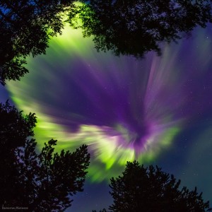 Northern lights in the sky over Murmansk region · Russia Travel Blog