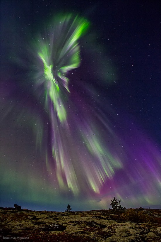 Northern lights in the sky over Murmansk region, Russia, photo 9