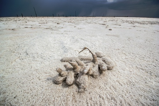 Baskunchak - a unique salt lake, Russia, photo 4