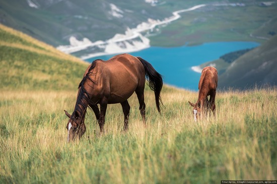 Lake Kezenoyam, North Caucasus, Russia, photo 13