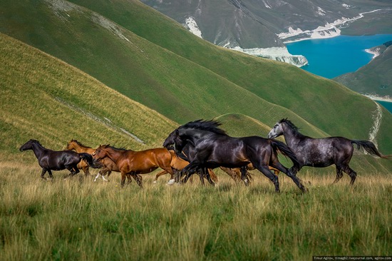 Lake Kezenoyam, North Caucasus, Russia, photo 15