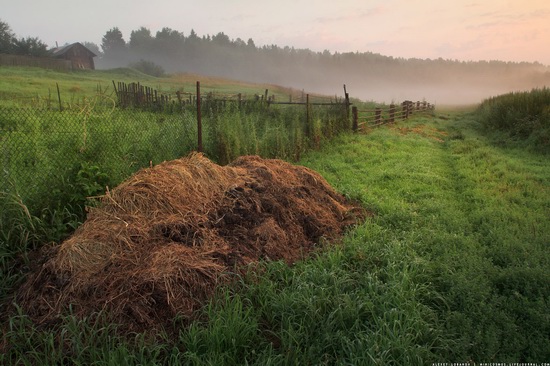 Rural landscapes, Yaroslavl region, Russia, photo 4