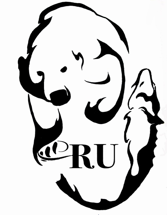 Creating a tourism brand of Russia, logo 2