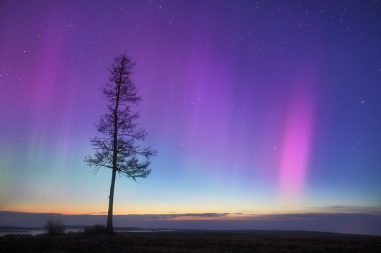 Multicolored aurora borealis, Sverdlovsk region, Russia, photo 17