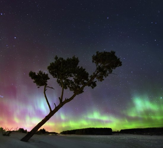 Multicolored aurora borealis, Sverdlovsk region, Russia, photo 2