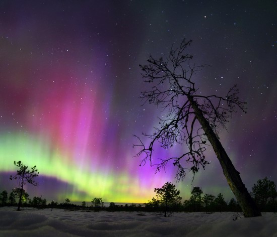 Multicolored aurora borealis, Sverdlovsk region, Russia, photo 3