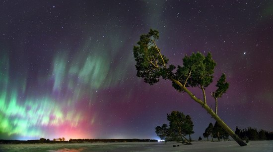 Multicolored aurora borealis, Sverdlovsk region, Russia, photo 4