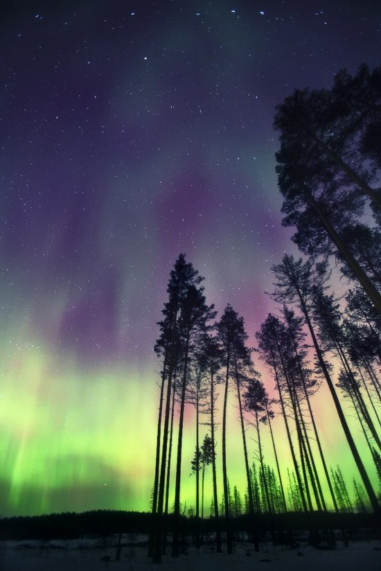 Multicolored aurora borealis, Sverdlovsk region, Russia, photo 6