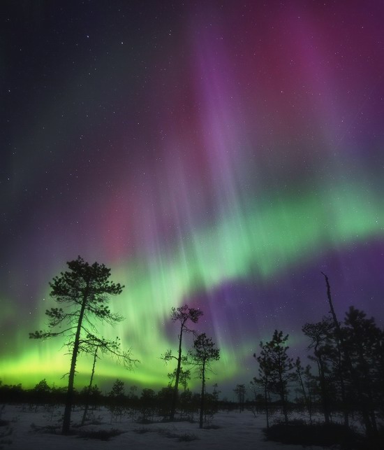 Multicolored aurora borealis, Sverdlovsk region, Russia, photo 7