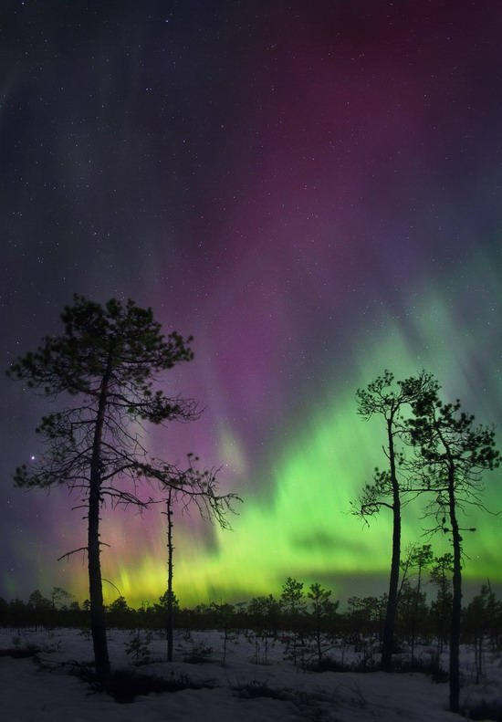 Multicolored aurora borealis, Sverdlovsk region, Russia, photo 8