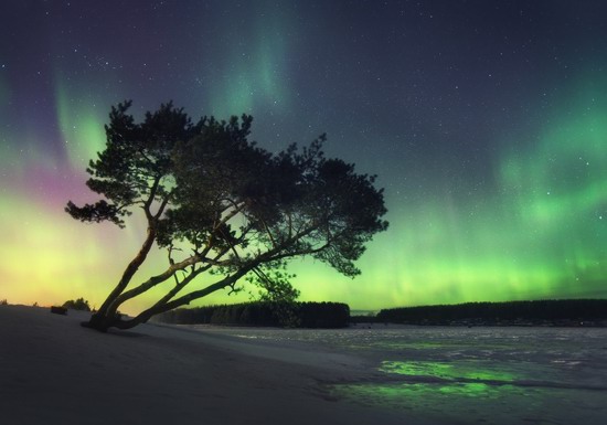 Multicolored aurora borealis, Sverdlovsk region, Russia, photo 9