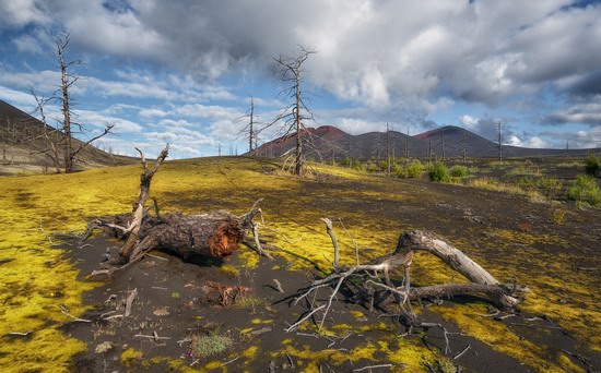 Alien landscapes of Tolbachik, Kamchatka, Russia, photo 11