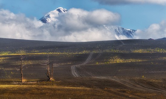 Alien landscapes of Tolbachik, Kamchatka, Russia, photo 13