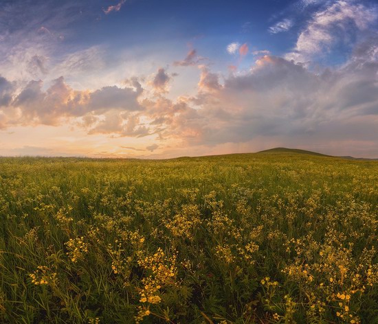 Vanilla evenings of Transbaikalia, Russia, photo 2