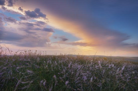 Vanilla evenings of Transbaikalia, Russia, photo 3