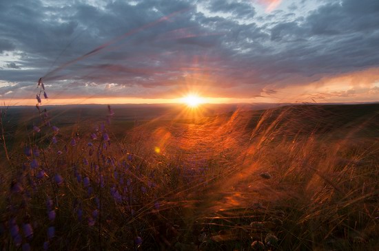 Vanilla evenings of Transbaikalia, Russia, photo 7