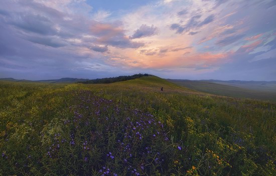 Vanilla evenings of Transbaikalia, Russia, photo 8