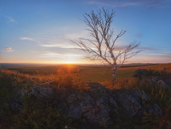 Vanilla evenings of Transbaikalia, Russia, photo 9