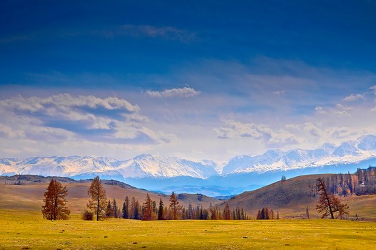 Altai region landscapes, Russia, photo 3