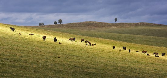 Altai region landscapes, Russia, photo 4