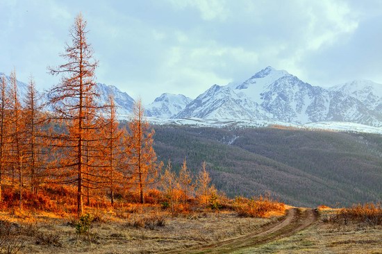 Altai region landscapes, Russia, photo 5