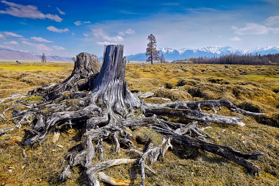 Altai region landscapes, Russia, photo 6