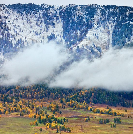 Altai region landscapes, Russia, photo 7