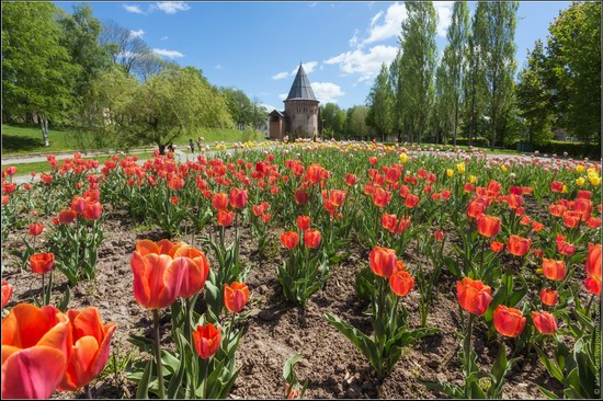 Smolensk city, Russia, photo 14