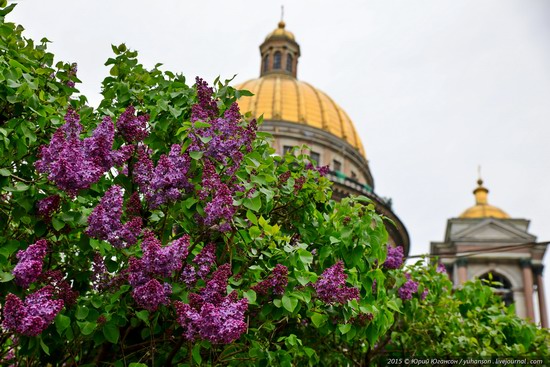 St. Isaac's Cathedral, Saint Petersburg, Russia, photo 4