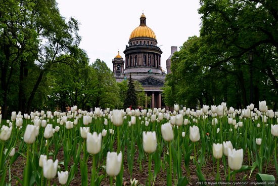 St. Isaac's Cathedral, Saint Petersburg, Russia, photo 6