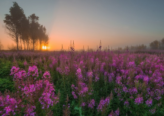 Yaroslavl region nature, central Russia, photo 1