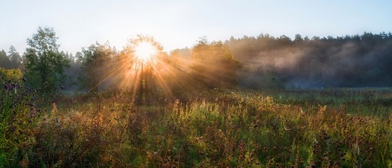 Yaroslavl region nature, central Russia, photo 10