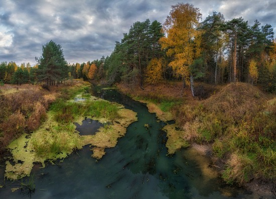 Yaroslavl region nature, central Russia, photo 12