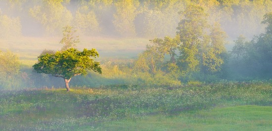 Yaroslavl region nature, central Russia, photo 5