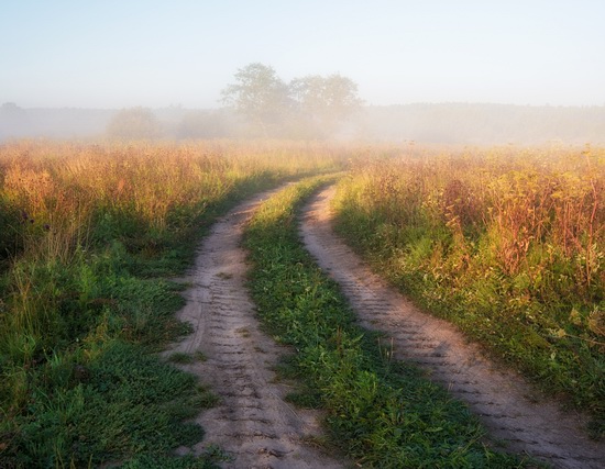 Yaroslavl region nature, central Russia, photo 9